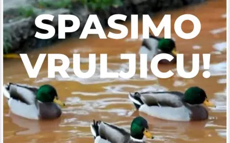 SDP-ov GRADSKI VIJEĆNIK DANIEL RADETA POSLAO JE PRIOPĆENJE O PROSVJEDU U VRULJICI KOJI SE ODRŽAVA U SUBOTU U DESET SATI!
