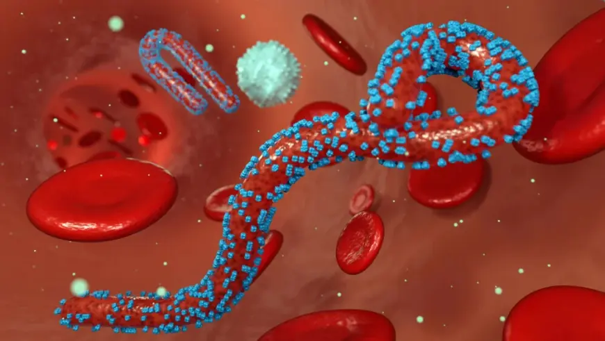 NOVO ŽARIŠTE SMRTONOSNOG VIRUSA: SIMPTOMI SU UŽASNI, UMRLO VEĆ 8 LJUDI