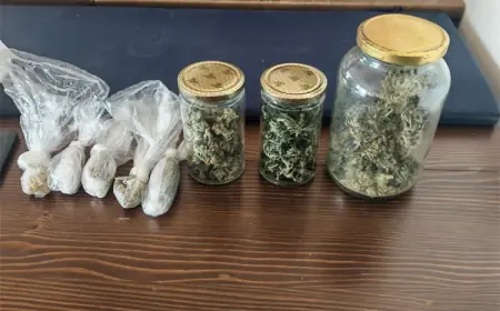 SPLITSKA POLICIJA UHITILA MUŠKARCA: UZGAJAO MARIHUANU U ŠATORU