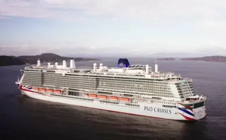 PUTOVANJE IZ SNOVA PRETVORILO SE U PAKAO: "PUTNICI NA KRUZERU PADAJU KAO MUHE"