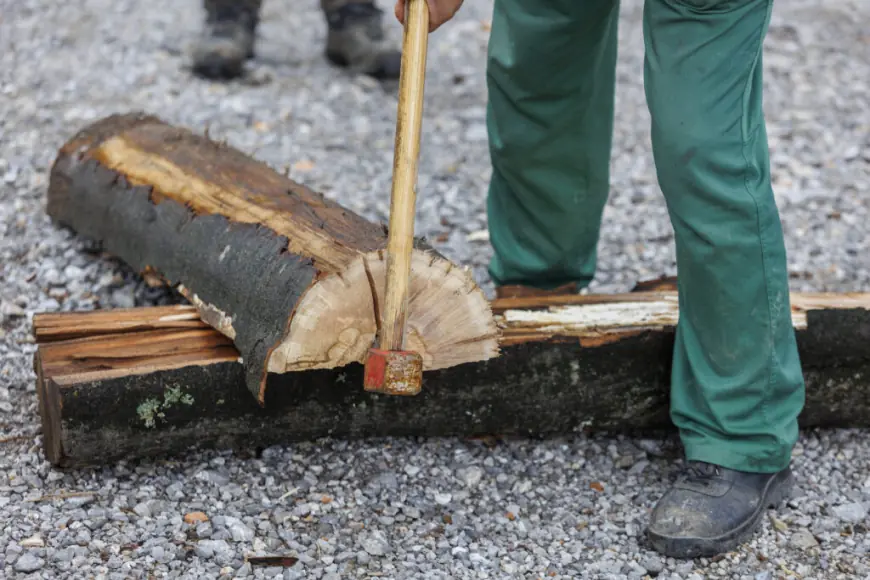 RAZRIJEŠENA UPRAVA HRVATSKIH ŠUMA!