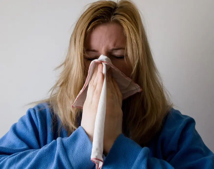GRIPU DOBILO 20.000 LJUDI, 26 OSOBA UMRLO. ČEKA SE VRHUNAC EPIDEMIJE