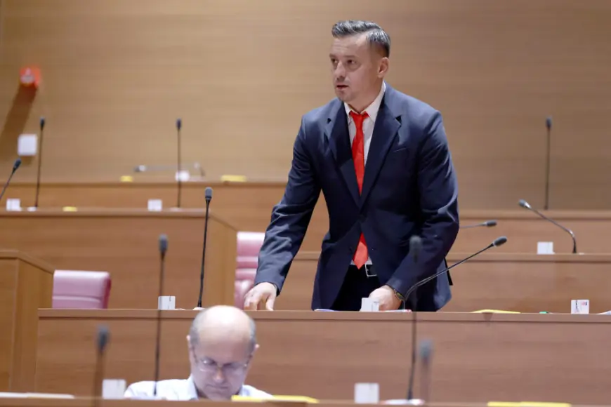 EMOTIVNI GOVOR O USVAJANJU MOSTOVCA U SABORU: “GLEDAŠ U OČI TO MALO DIJETE, ONO SAMO ČEKA ZAGRLJAJ, TOPLU RIJEČ..."