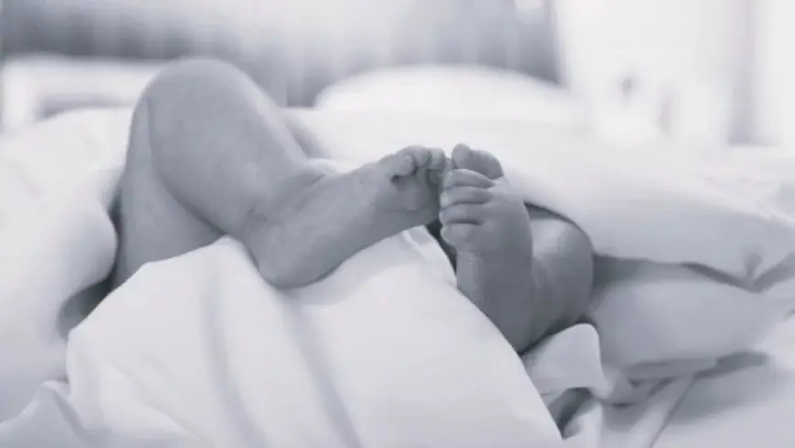 PITBUL RASTRGAO DEVETOMJESEČNU BEBU: ISTI PAS JE VEĆ UBIJAO, OTAC UHVAĆEN U LAŽI