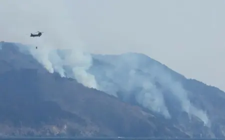 TISUĆE BJEŽE PRED VELIKIM ŠUMSKIM POŽAROM: ANGAŽIRANI I VOJNI HELIKOPTERI, DIM SE VIDI I IZ SVEMIRA