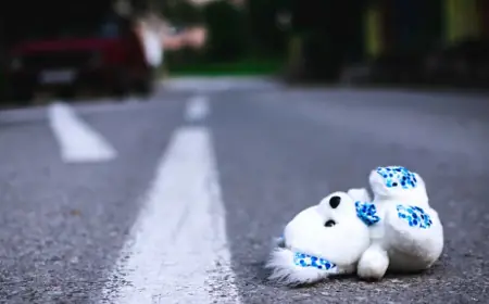 STRAVIČNA NESREĆA: TOLIKO SNAŽNO UDARILA DIJETE NA PJEŠAČKOM DA JE ODLETJELO U DRUGI AUTO, PAS UGINUO