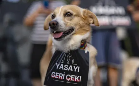 TURSKA NAJAVILA PRIMJENU KONTROVERZNOG ZAKONA O PSIMA