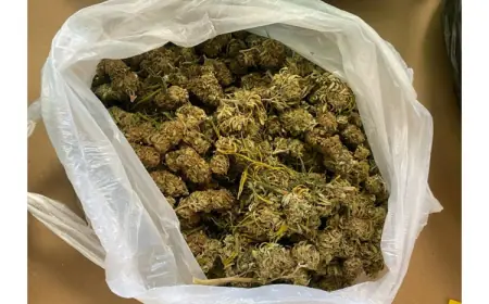 USKOK PODIGAO OPTUŽNICU PROTIV 11 OSUMNJIČENIH: U ISTRI PREPRODAVALI KOAKIN, MARIHUANU, HEROIN...