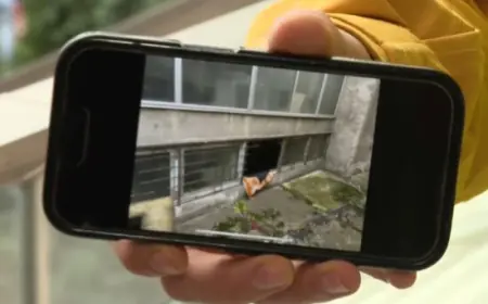 NADREALNI PRIZORI IZ RTS-a: ZAPOSLENI U ZGRADU ULAZE KROZ PODRUMSKE PROZORE