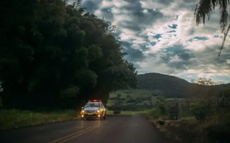 POLICIJA SLUČAJNO OTKRILA 6-GODIŠNJE DIJETE: ZAUSTAVILI AUTO ZBOG PROMETNOG PREKRŠAJA