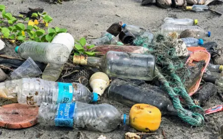 OCEANIMA ĆE PLUTATI VIŠE OD 600 TISUĆA TONA PLASTIKE COCA COLE