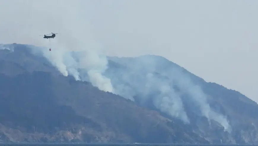 TISUĆE BJEŽE PRED VELIKIM ŠUMSKIM POŽAROM: ANGAŽIRANI I VOJNI HELIKOPTERI, DIM SE VIDI I IZ SVEMIRA