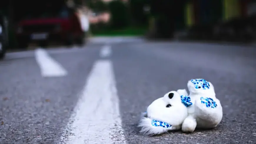 STRAVIČNA NESREĆA: TOLIKO SNAŽNO UDARILA DIJETE NA PJEŠAČKOM DA JE ODLETJELO U DRUGI AUTO, PAS UGINUO