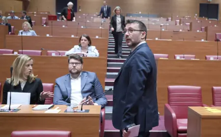 SDP-ovci: GDJE SU DP-ovci, TE HRABRIŠE, DANAS?