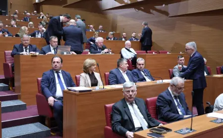 OPORBA PROBLEMATIZIRA TAJMING UHIĆENJA MILE KEKINA