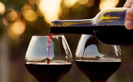 VINO SE NIJE OVOLIKO MALO PILO OD 60-ih, EVO I ZAŠTO