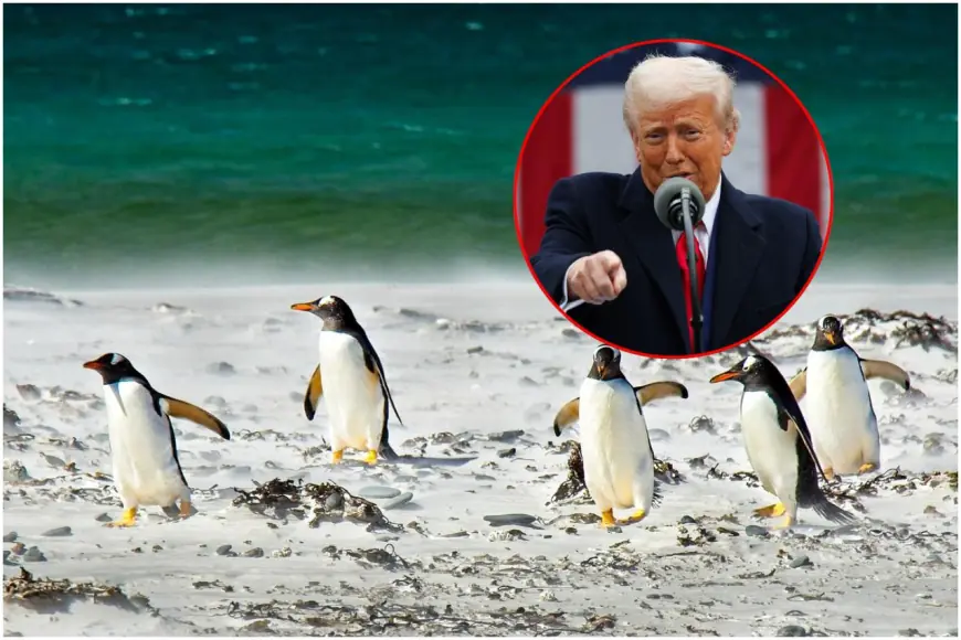 TRUMP UVEO CARINE PINGVINIMA!