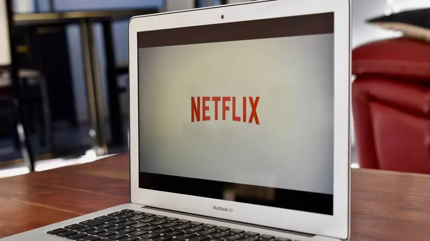 HOĆEMO LI PLAĆATI CARINE I POREZE NA NETFLIX I GOOGLE?
