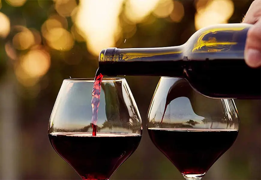 VINO SE NIJE OVOLIKO MALO PILO OD 60-ih, EVO I ZAŠTO