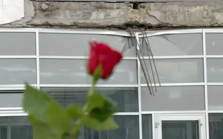 POLICIJA TRAŽI OSOBU KOJA JE MOKRILA NA SVIJEĆE ZA STRADALE U NOVOM SADU