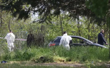 STRAVIČNO UBOJSTVO ŽENE U SUSJEDSTVU: IMALA JE 10 UBODNIH RANA, MUŠKARAC PRONAĐEN S NOŽEM U VRATU