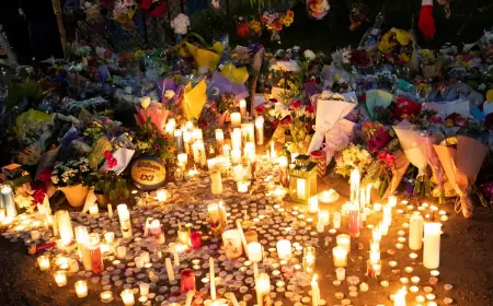 TRAGEDIJA NA ŠKOLSKOM IZLETU: DJEVOJČICA PALA U PROVALIJU I PREMINULA