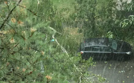 OLUJNI VJETAR U ZAGREBU ČUPAO GRANE, NA TEREN IZAŠLI VATROGASCI. U NAŠICAMA RADILI GRUDE