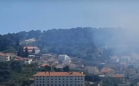 IZBIO POŽAR U DALMACIJI! S BUKTINJOM SE BORI VIŠE OD 20 VATROGASACA