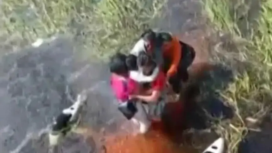 AVION PRISLINO SLETIO U MOČVARU, PUTNICI SU SE NAŠLI U HORORU: SATIMA SU OKO NJIH BILI ALIGATORI I ANAKONDA