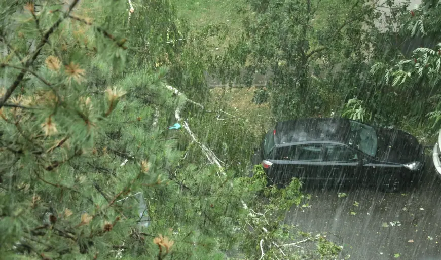 OLUJNI VJETAR U ZAGREBU ČUPAO GRANE, NA TEREN IZAŠLI VATROGASCI. U NAŠICAMA RADILI GRUDE