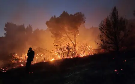SERIJA POŽARA KOD ULAZA U PARK PRIRODE BIOKOVO. POLICIJA TRAŽI PIROMANA