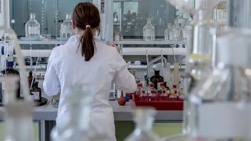 EPIDEMIJA ŽUTICE: RASTE BROJ SLUČAJEVA U ČETIRI EUROPSKE DRŽAVE