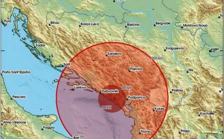 POTRES POGODIO SUSJEDSTVO! OSJETILI GA I DALMATINCI o