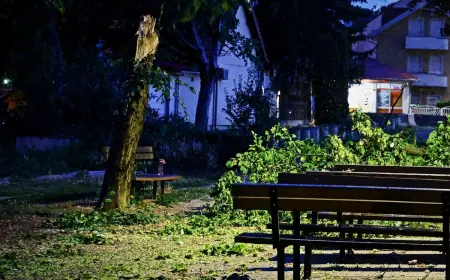 PROŠLO NEVRIJEME NA SJEVERU HRVATSKE. JAK VJETAR RUŠIO STABLA I ELEKTRIČNE VODOVE