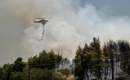 VATROGASCI SE BORE S POŽARIMA U TURKSOJ, GRČKOJ I ALBANIJI