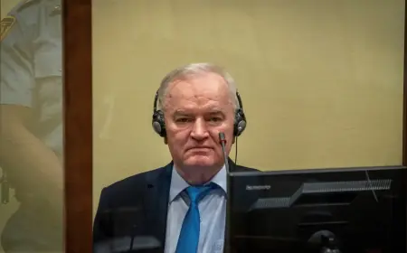 ODBIJEN ZAHTJEV ZA PUŠTANJE RATKA MLADIĆA NA SLOBODU IZ ZDRAVSTVENIH RAZLOGA