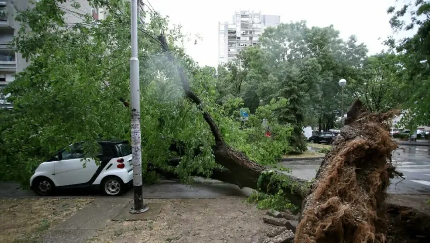 OLUJA U ZAGREBU ČUPALA STABLA I OSTAVILA KAOS!