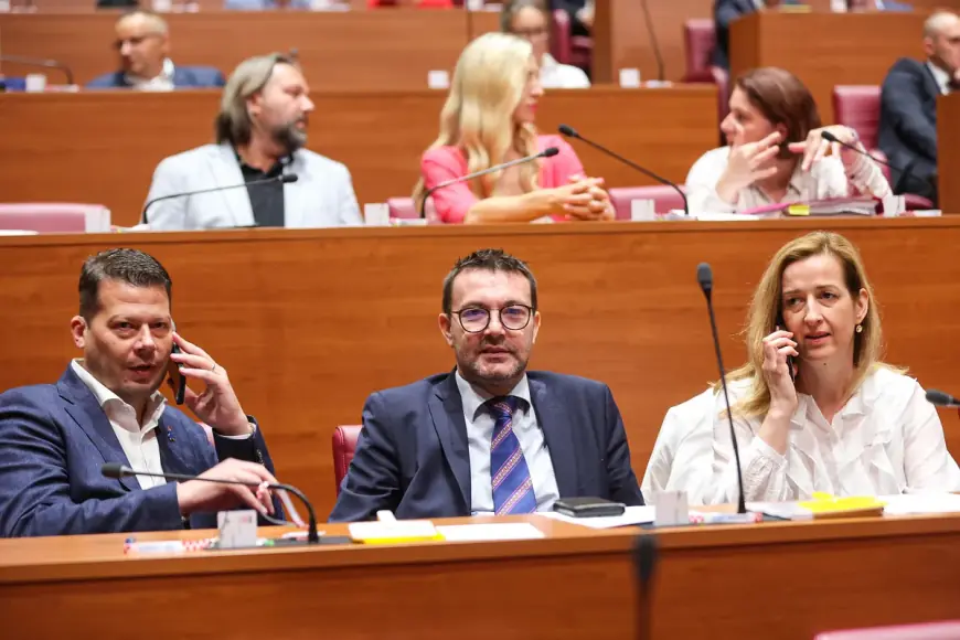BAUK: PRAVOBRANITELJICA BI SE TREBALA PONAŠATI KAO "PLENKOBRANITELJICA"