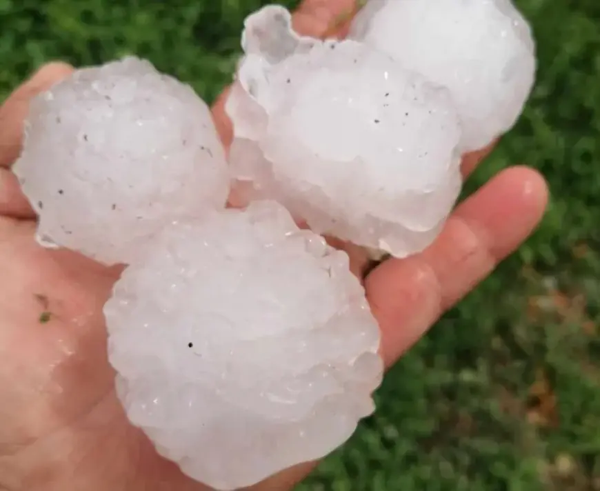 VOĆARI OČAJNI: "LED JE TUKAO KAO MITRALJEZ. ZA 15 MINUTA U KRUGU OD 20 KILOMETARA, SVE JE UNIŠTENO"