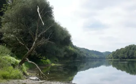 U KUPI SE UTOPIO MUŠKARAC