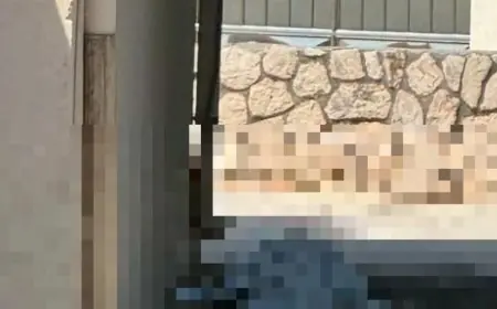 ZASTUPNIK OBJAVIO UZNEMIRUJUĆU FOTOGRAFIJU: "ISTOVARILI SU TIJELO NA CESTU, LEŽALA JE TU NEKOLIKO SATI"