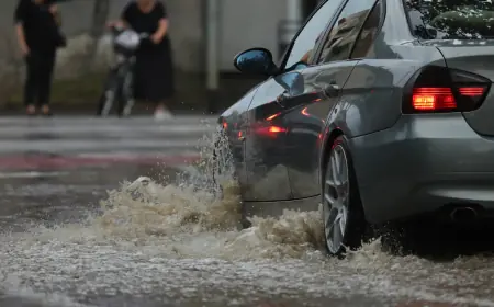 SNAŽNO NEVRIJEME U OSIJEKU: PADALA STABLA, ULICE POTPOLJENE