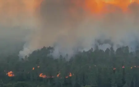 HARAJU POŽARI DILJEM MEDITERANA, IMA MRTVIH: "ČUVAMO DOMOVE, NE MOGU NAPUSTITI SVOJU OBITELJ I SELO"