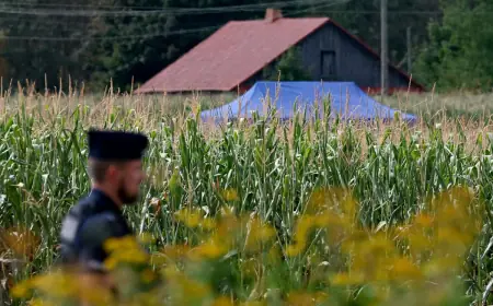 OBJAVLJENI DETALJI OKO PADA DRONA U POLJSKOJ