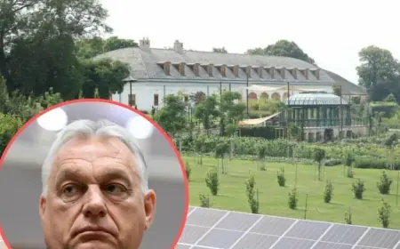 ORBANOVA PALAČA PRAVI JE HIT NA INTERNETU: ZASTUPNIK UŠAO NA IMANJE I SNIMIO KAKO IZGLEDA