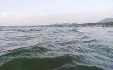 ZASTRAŠUJUĆE UPOZORENJE: GOLFSKA STRUJA NA RUBU URUŠAVANJA