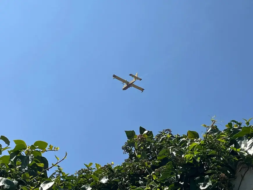 POŽAR KOD ŽERAVE I NINSKIH STANOVA GASILA TRI KANADERA I DVA AIR-TRACTORA