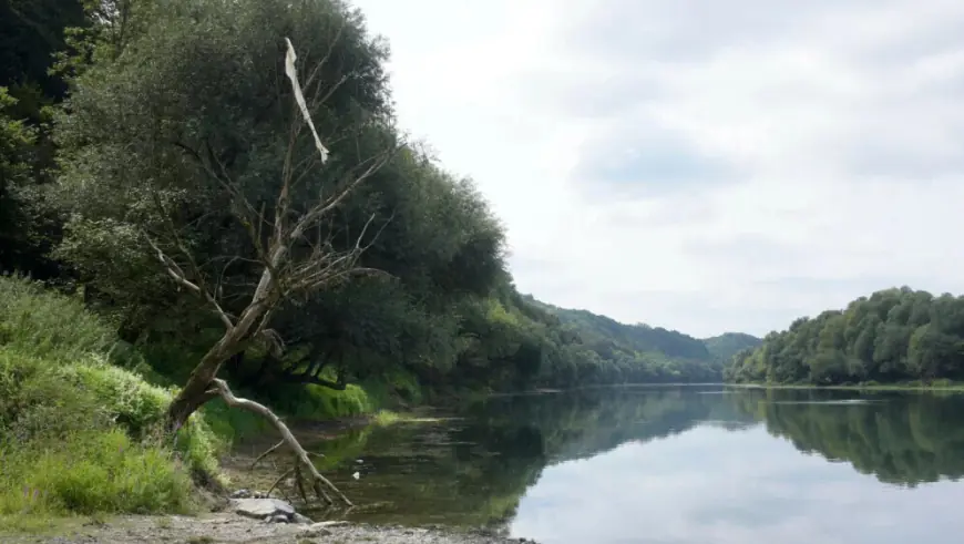 U KUPI SE UTOPIO MUŠKARAC