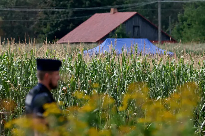 OBJAVLJENI DETALJI OKO PADA DRONA U POLJSKOJ