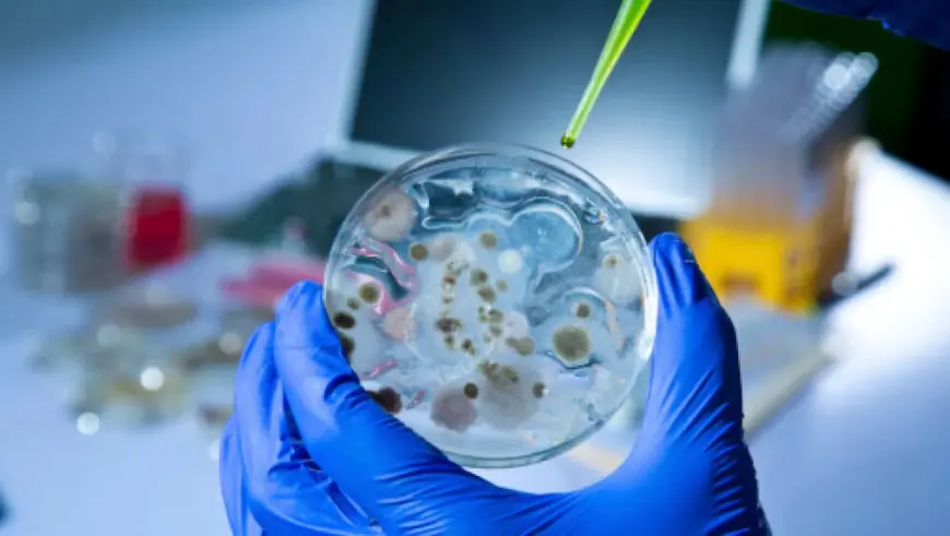 ŠIRI SE OPASNA ZARAZA: BOLEST POTVRĐENA I U HRVATSKOM SUSJEDSTVU